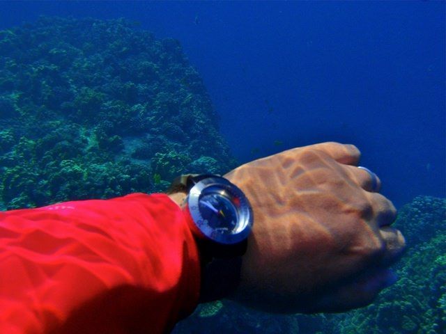 Omega] dive watch doing dive watch stuff : r/Watches
